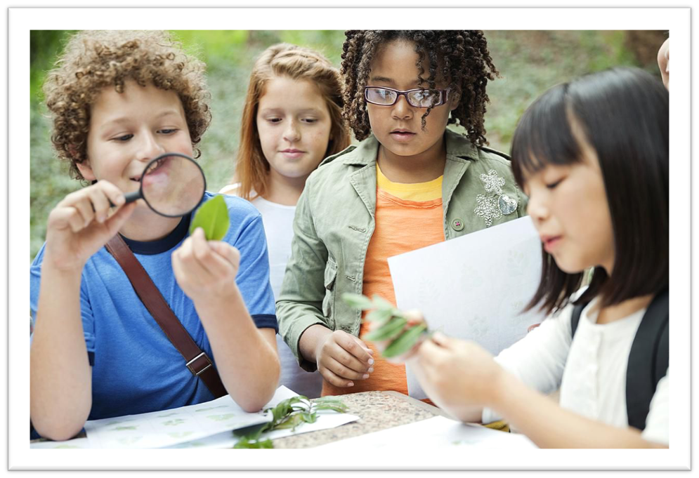 After School Program for Beaver Acres